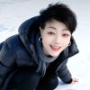 雪儿的头像