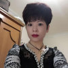 燕的头像