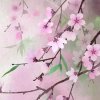 Strong：的头像