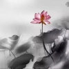 李志谦的头像