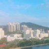 小金3徒小梅的头像