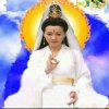 风云再起。的头像