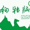 狗牯脑茶的头像
