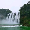 高山流水的头像