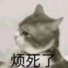 的头像