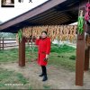 敏的头像