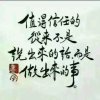 民无名草的头像