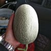 珍惜以后的日子的头像