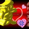 苏苏玫瑰的头像