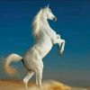 骏马奔驰的头像