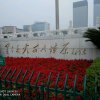 萍的头像