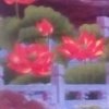 春暖花开的头像