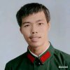 林中一青松的头像