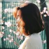 ༺❀木芙蓉❀༻的头像