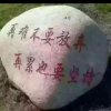 呦呦，切克闹的头像
