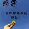 沉默的头像