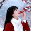 雪中、梅的头像