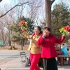 暖心的头像