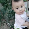 七彩阳光的头像