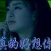 我是卑微的小鸟的头像