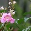 岁月无声的头像