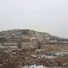 冬天的雪的头像