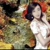 月下芙蓉的头像