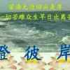 修心的头像