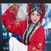 常乐的头像