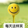 Gesang花拒币的头像