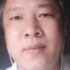 杨柳树的头像