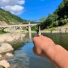 枫叶的头像