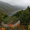 解解厌气的头像