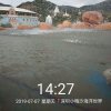 一往情深的头像