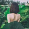 winnie的头像