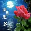 圆月思乡 hiiiiiii的头像