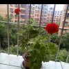 一缕阳光的头像