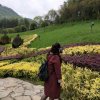 玫瑰花开的头像