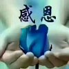 月亮的头像