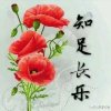 七彩霞的头像