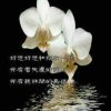 诚信为本的头像