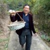 大潘的头像