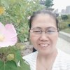 梦之缘的头像