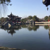 阿莲的头像