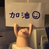 小宝的头像