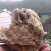 龙飞凤舞的头像