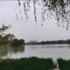 无语……的头像