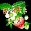 盼望的头像