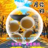 chen的头像
