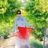 香香的头像